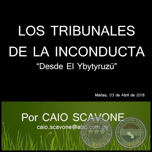 LOS TRIBUNALES DE LA INCONDUCTA - Desde El Ybytyruzú - Por CAIO SCAVONE - Martes, 03 de Abril de 2018